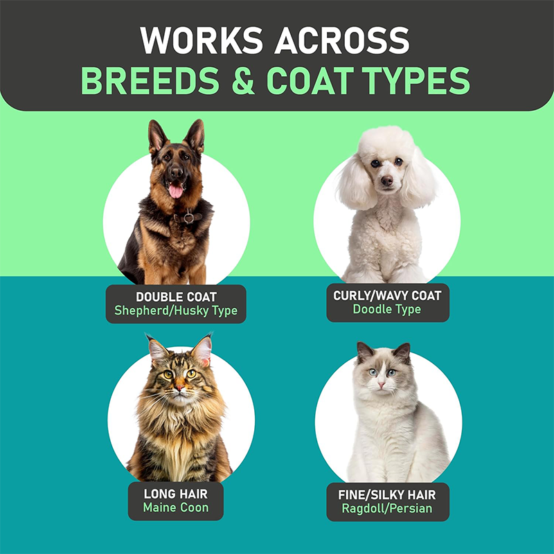 Illustrated overview of different dog and cat coat types