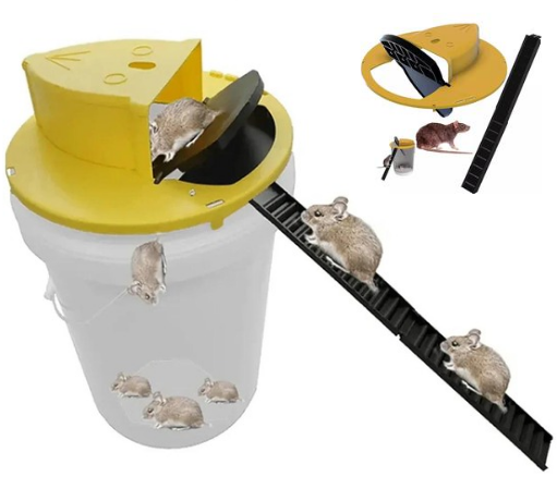 Automatic Reset Flip Lid Mouse Trap