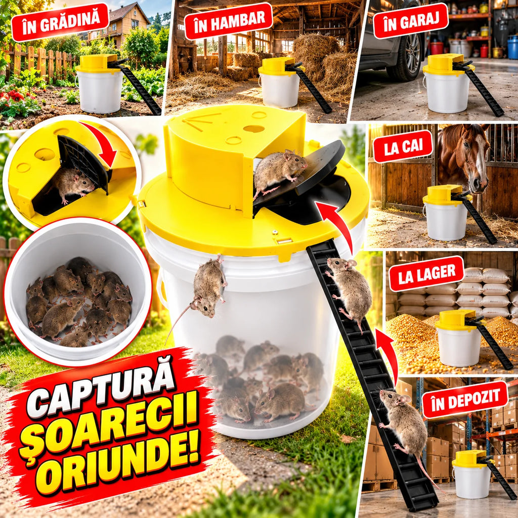 Automatic Reset Flip Lid Mouse Trap