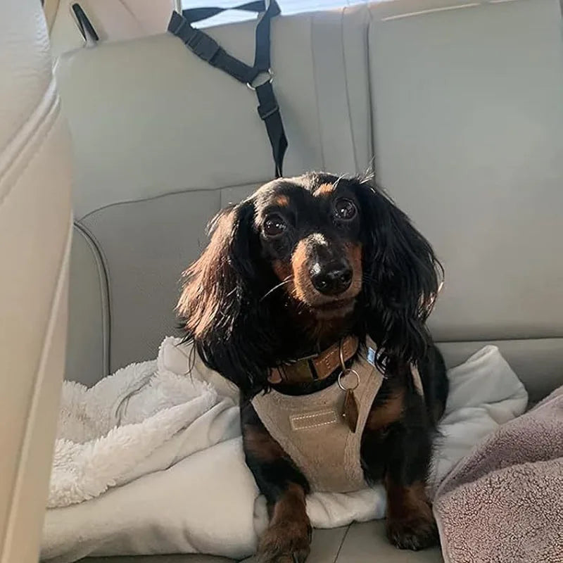 2-in-1 Dog Car Seat Belt and Walking Leash