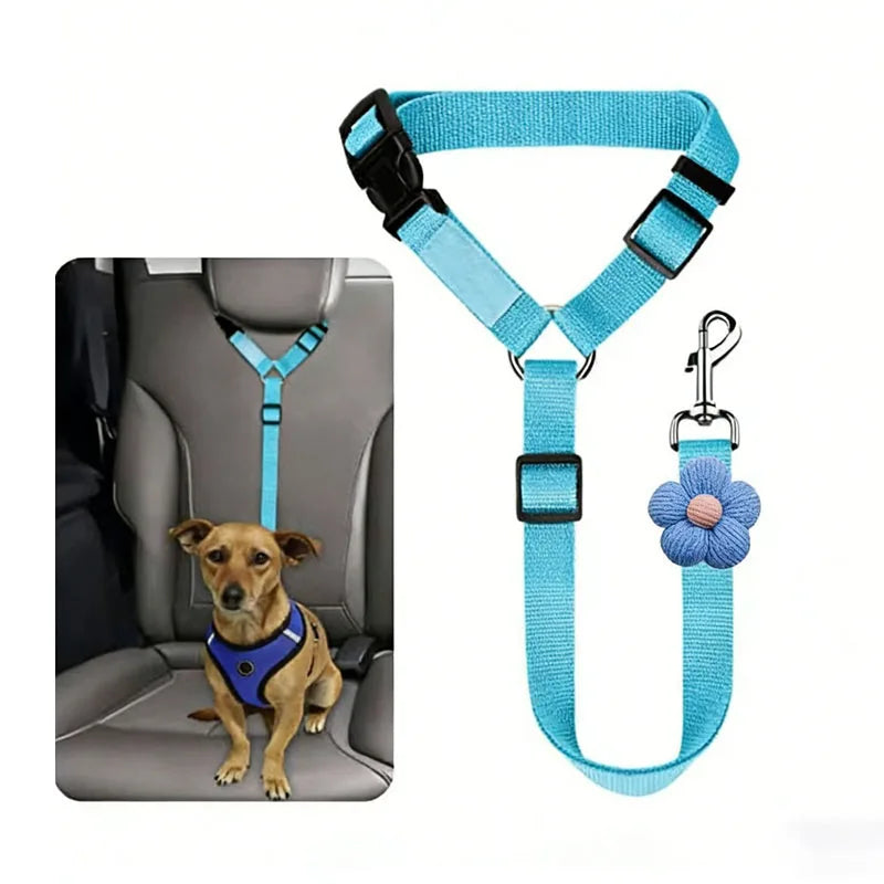 Sky blue headrest dog strap